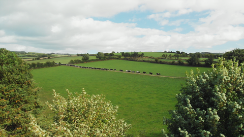 iconic protein dairy farm